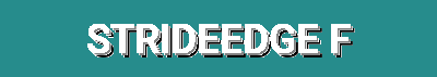 Footwear Deals, Seasonal Styles & Men’s & Women’s Shoes on Sneakers, Boots, Loafers & More | StrideEdge Footwear